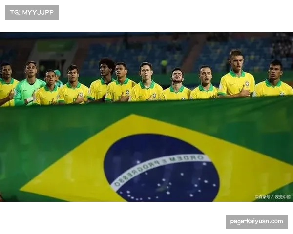 2010南非世界杯冠军和亚军分别是哪个国家的精彩对决及其背后故事